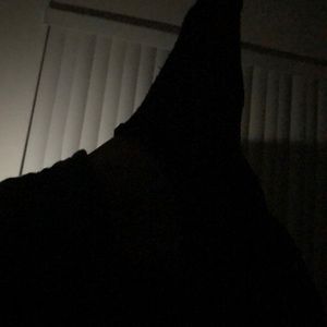 Meet your Posher, Julian